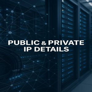 What Is my public IP What is my private IP